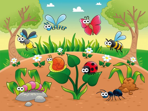 bugs