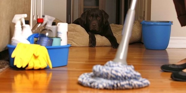 cleaning-house