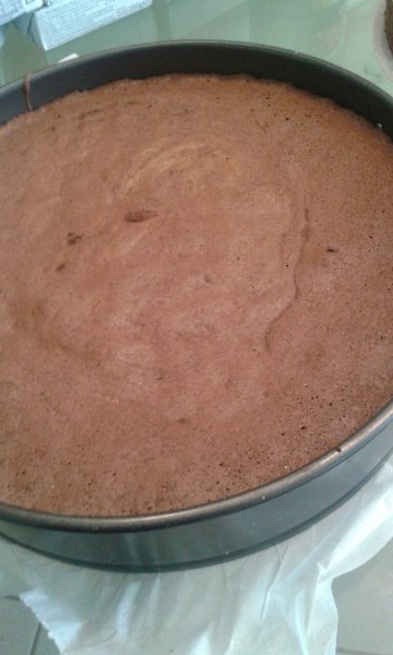 20150228_104850_resized