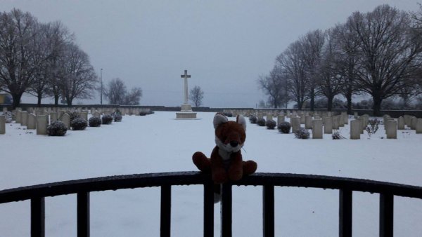 15000002_1325118730831556_88213552993731820_o