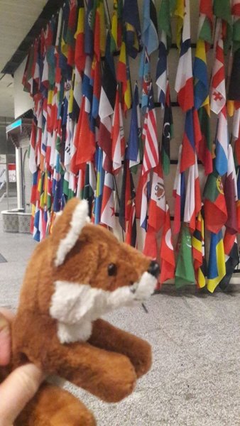 15002400_1325118830831546_4686176822291153151_o