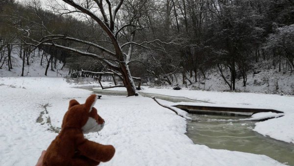 15935163_1330518453656738_1004565183_o