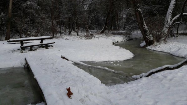 15935539_1330519376989979_845746376_o