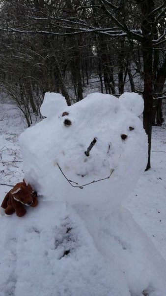 15941943_1330521140323136_681511379_n