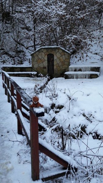 15942132_1330521103656473_1973058573_n