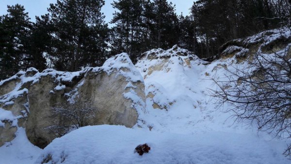 15942869_1330518350323415_184796357_o