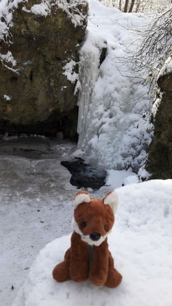 15942983_1330520980323152_1577894070_o