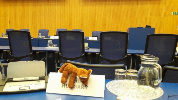 15967080_1330520880323162_965393624_o