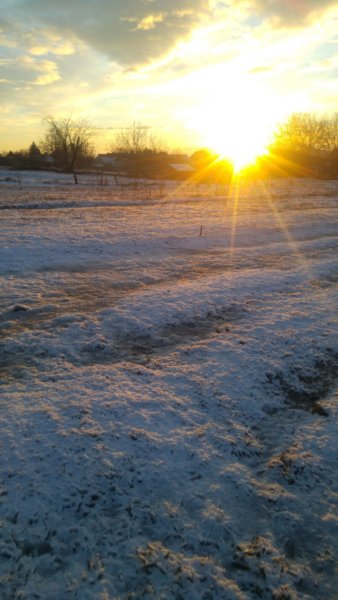 20170114_161055